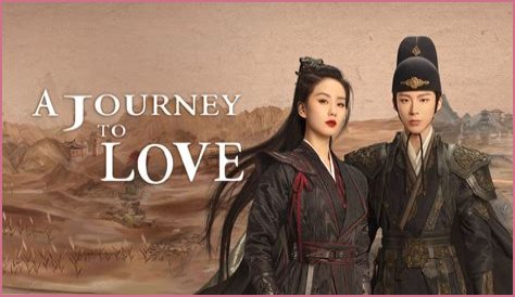 A Journey Of Love, Support, And Creative Endeavors